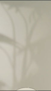 (โปร3ตลับแถมพัฟไข่ม่วง) แป้งเจลลี่เขียว สกิน 365 แป้งตบลบมัน แป้งพิมประภา SKIN365 Naked Matte Ultra Powder