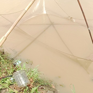 Ancô Senar Size 015 Ukuran 25x25 m Lubang 1/2 Inci