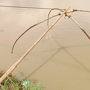 anco jaring putih 280cm x 280cm lubang 3/8 inc