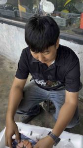 ยางกันกระชาก ยางดุมสเตอร์ ชุปเปอร์ลีน W125. W100