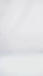 JIMS HONEY JHW 36 JAM TANGAN PRIA FREE EXCLUSIVE BOX TAHAN AIR WATER RESSITANCE INCLUDE BOX + baterai