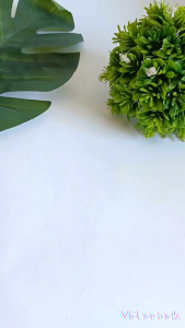 HAFIZAH Bulu Mata Natural Hf-g04 isi Lusinan 12 pasang Gratis TUTUP Mika