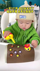 Mainan Anak Ulat Magnet Mainan Montessori Wood Pecker Feeding Game Game 1-5 Tahun Mainan Memberi makan burung Edukasi
