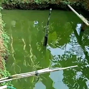 pelet ikan nila mas gurame patin lele