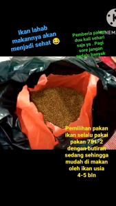 pelet ikan lele mas Hi Pro VIte 781-2