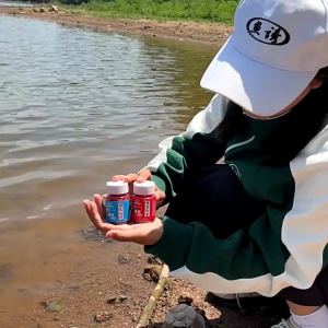 Mồi Câu Cá Giả Giun Đất Sâu Đỏ Sinh Học