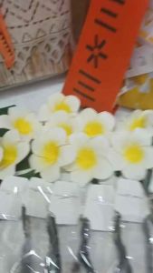 10pcs Summer Beach Flower Plumeria Hair Clips Hair Pins for Beauty Hawaiian Accessories