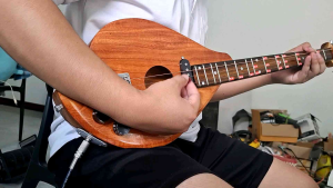 พิณโปร่งไฟฟ้า