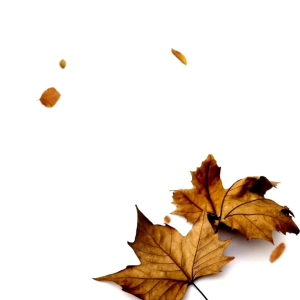 KANCING KLIP BUMPER MOBIL NISSAN KLIP BUMPER NISSAN L