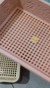 Combo 10 chiếc rổ trung chữ nhật hoa kt 33.5 x 22.5 x 7.8 cm hàng cao cấp việt nhật