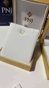 HỘP DÂY CHUYỀN ( hãng p n j )