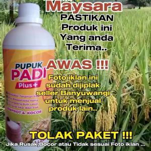 Pupuk Padi Pupuk Cair Semprot Penyubur Tanah Nutrisi Plus Biopestisida Hama Dari Bibit Hingga Panen