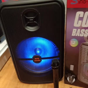 multimedia sound system speaker karaoke Bluetooth with wireless microphone n wired microphone