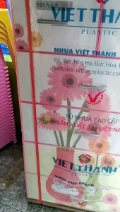 Tủ VITA LA 5 ngăn Hoa Đồng Tiền có kính Decal
