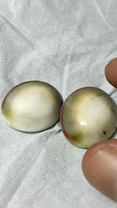 Batu posil kol buntet asli dapat 2 pics