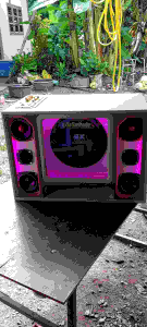 ตู้ bluetooth  DIY  ดอกซับ 10 นิ้ว(ร้องคาราโอเกะได้)