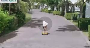 Thùng 24 Hộp Sữa Bột Pha Sẵn Nutifood GrowPLUS+ Immunel - 180ml