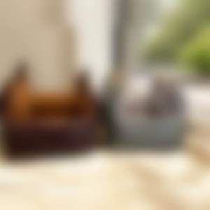 คาร์ซีทกระเป๋า สัตว์เลี้ยง 46*46cm