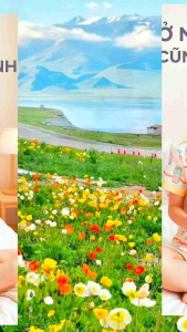 (40-60kg) Đồ bộ piijama nữ lụa Mango cổ sen cộc tay TAY NGẮN - QUẦN ĐÙI chất mền mịn mát