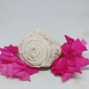 Batu Temuan Alam Kolocokro: Bahan Alami Untuk Dekorasi