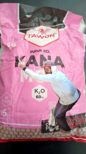 PUPUK BUAH ANTI RONTOK KCL TAWON ORIGINAL 5 KG