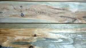 3 PCS CELANA PRIA CATTON-CD PRIA DEWASA