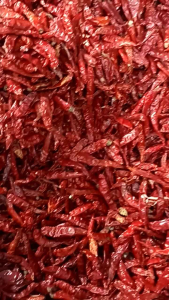 5 KG PAKET HEMAT CABE RAWIT /CAPLAK /TEJA /CABE SEBLAK KWALITAS SUPER /BERSIH TANPA CAMPURAN