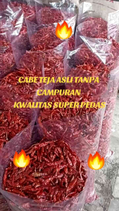 CABE TEJA CABE RAWIT PAKET HEMAT 5 KG KWALITAS NO 1