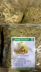 Trà Phan Tả Diệp- Hỗ Trợ Táo Bón Nhuận Tràng