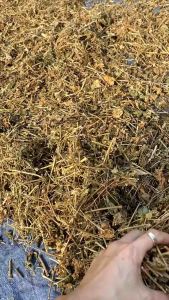 Lạc Tiên Khô 1kg- Hỗ Trợ An Thần Mất Ngủ