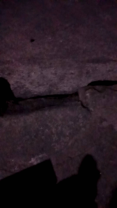 Lampu Tembak D2 HI LO Motor & Mobil: Panduan Lengkap