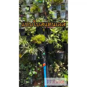 สปริงเกอร์หมุนรอบตัว สปริงเกอร์หมุนรอบตัว 4 หุน สวมท่อ 6 หูช้าง ใบสแตนเลส ใบหูช้าง ใบทูเวย์ พร้อมวาล์วหรี่เกษตร สนใจสไตล์