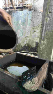 minyak daun cengkeh (clove leaf oil)