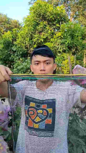 10 pcs Bungkus Buah di Pohon 35x55 cm 10 Kantong Lengkap Tali Brongsong Matoah Klengkeng