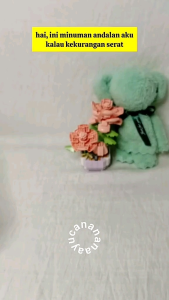 ABC sari kacang hijau