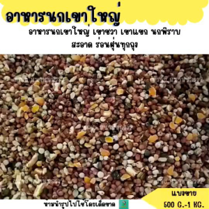 อาหารนกเขาใหญ่ เขาชวา เขาแขก นกพิราบ (แบ่งขาย 500 G-1 KG.)
