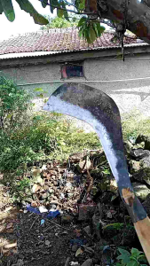 pemangkas ranting pohon tebu rumput dll