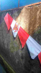 Umbul-umbul kuda laut 20pcsumbul-umbulbendera umbulumbul-umbul polosumbul umbul terbarubendera merah putihbendera Indonesiaaksesoris kemerdekaanpernak pernik kemerdekaanbecround Garudabecround karetabutaybendera layurumbul-umbul jumbo