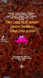 MURAH 1 KG CABE RAWIT CAPLAK SUPER PEDAS TANPA TANGKAI