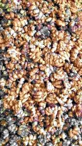 KENCUR TERMURAH SEGAR FRESH 1KG