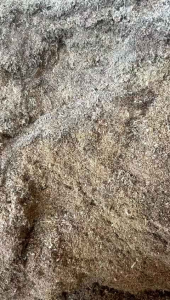 Media Tanam Cocopeat