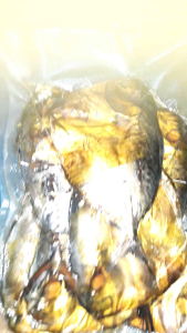 ikan semar asap khaz pemalang 1 pak isi 6pc