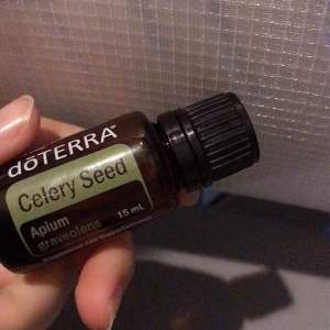 Celery seed essential oil น้ำมันหอมระเหย เมล็ด เซรารี่