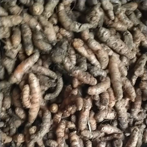 KUNYITKUNIRKONENG MURAH 1KG