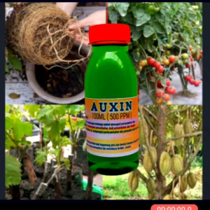 AUXIN zat pengatur tumbuh akar hormon auksin murni 500 ppm 100 mili
