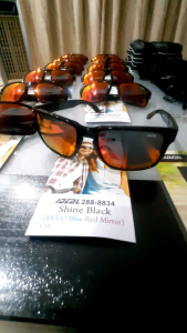 CTS IDEAL 8834 Polarized Sunglasses (Shine Black Frame)