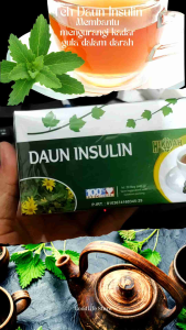 Teh Celup Daun Insulin Teh Kesehatan Herbal Diabetes