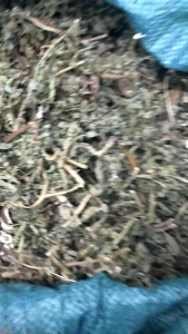 Cây dền gai tươi khô .hàng chuẩn .Lh 097 118 36 88