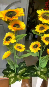 Bunga pojok ruangan bunga sudut bunga matahari jumbo kuntum 5 berikut vas