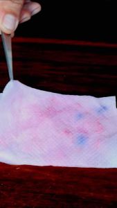 Hạt giống dưa chuột Nhật chịu nhiệt (10 hạt) - trái dài giòn ngọt trồng quanh năm